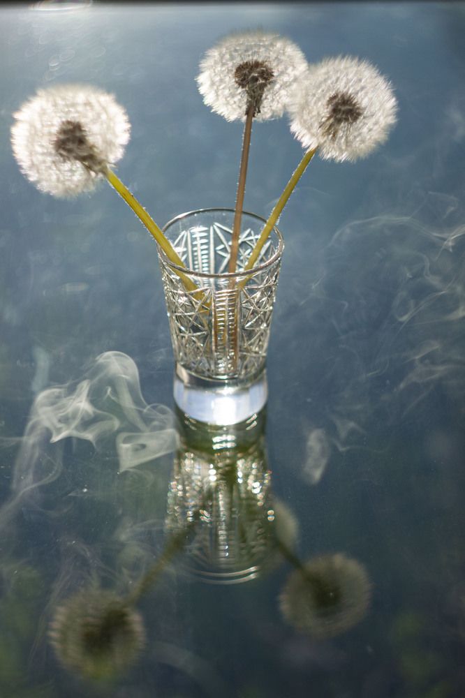 Photograph by Владислав Капанов