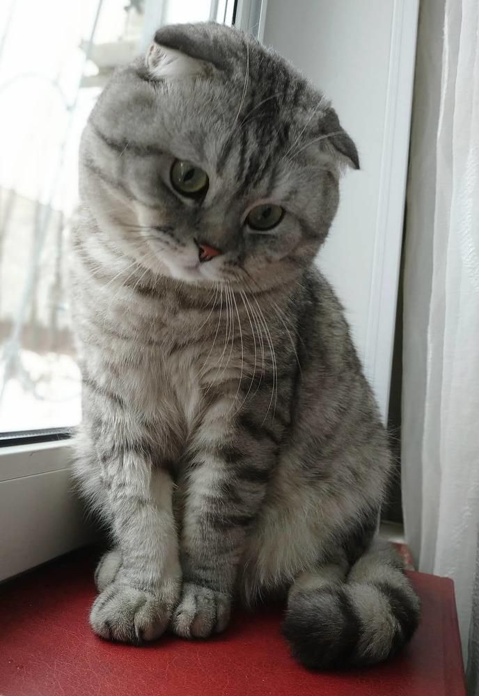 Photograph by Дмитрий Медянников