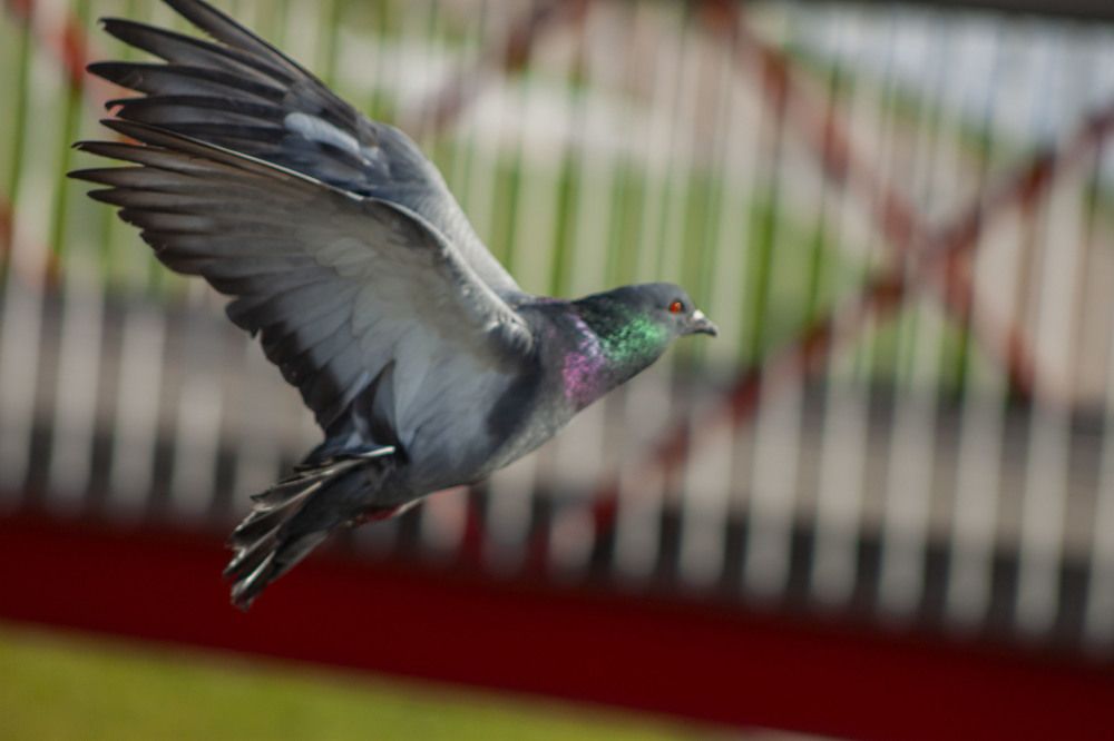 Photograph by Владислав Капанов