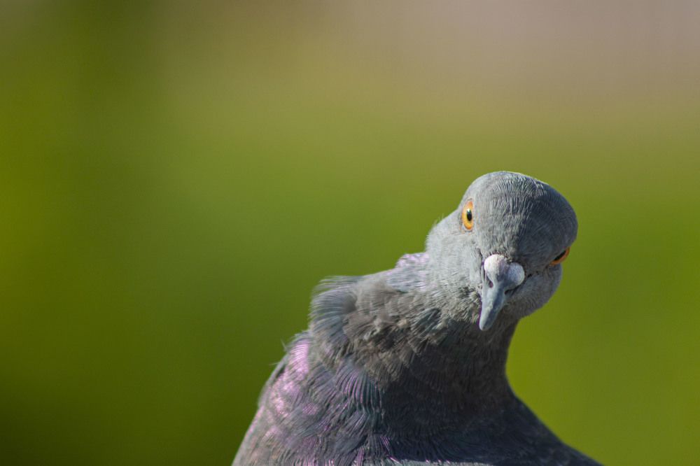 Photograph by Владислав Капанов