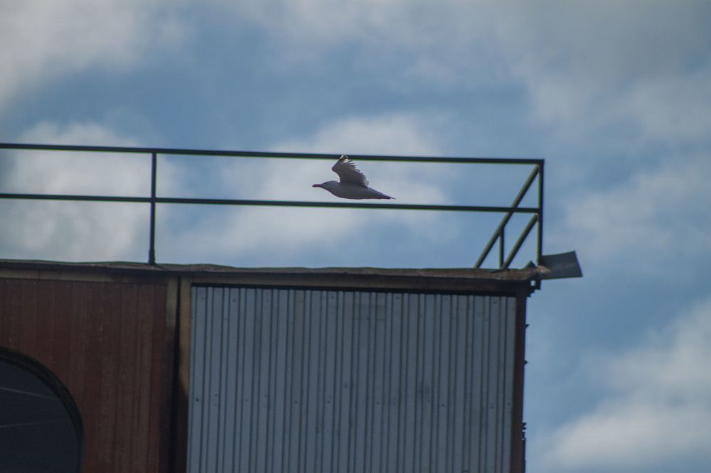 Photograph by Владислав Капанов