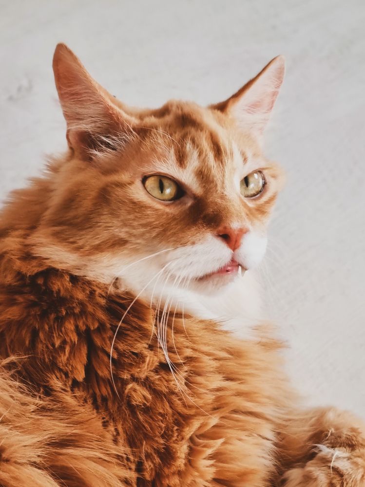 Photograph by Ольга Дёмина