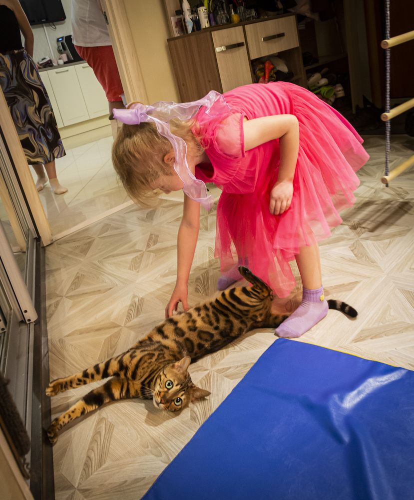 Фотография автора Каргин Валерий