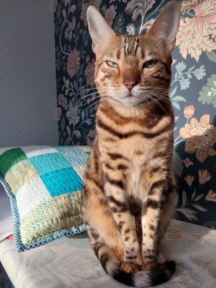 Photograph by Юлия Фирман