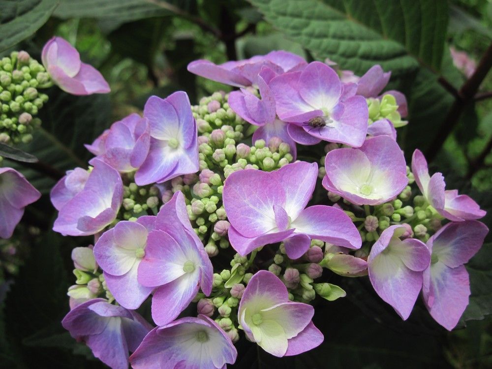 Фотография автора George Samuel