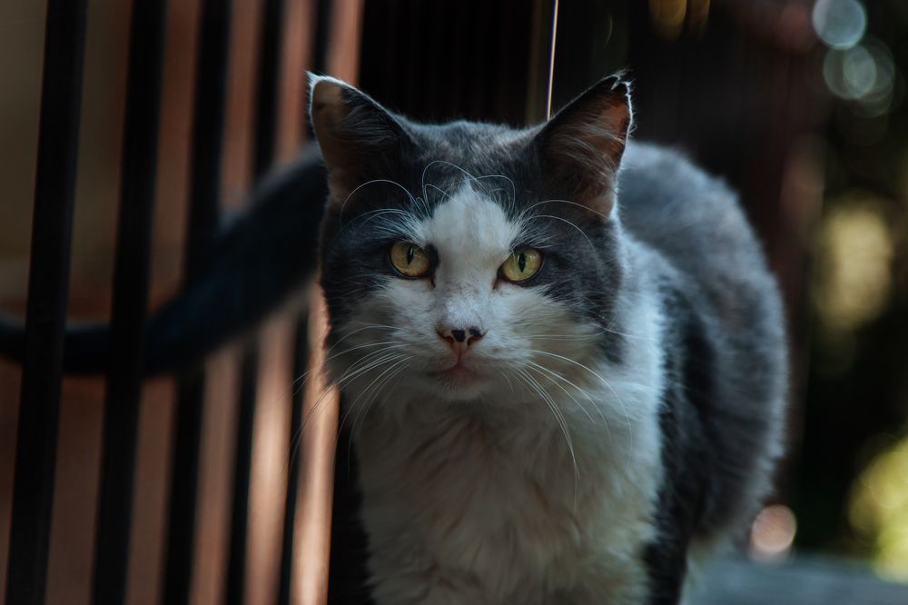 Photograph by Мария Мостипака