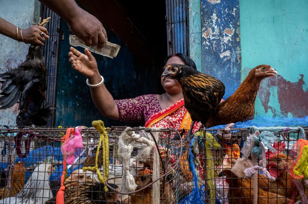 Photograph by DEBRAJ PURKAYASTHA