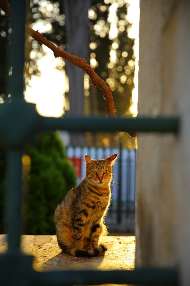 Photograph by Анастасия Нефедьева