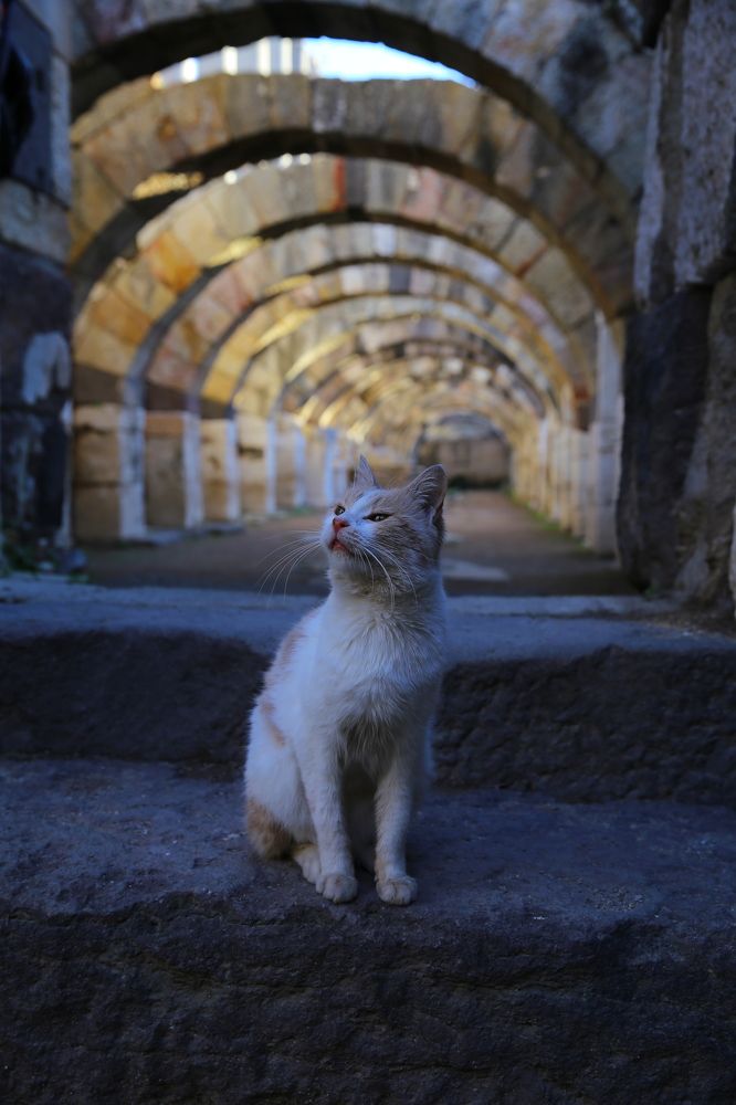 Photograph by Анастасия Нефедьева