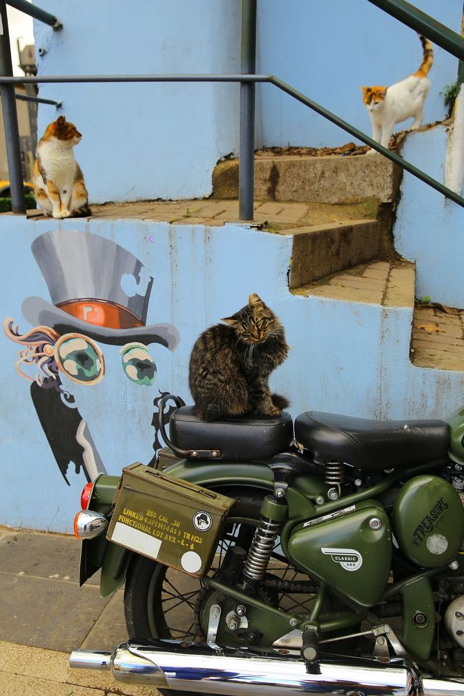 Photograph by Анастасия Нефедьева