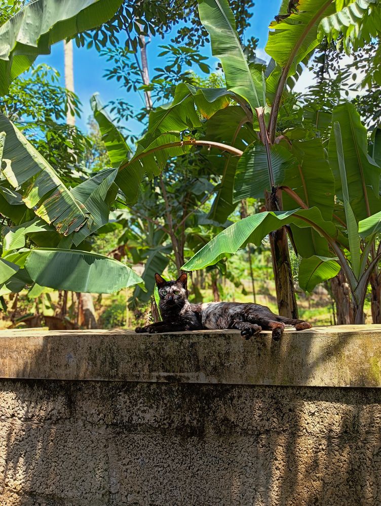 Photograph by Abhinav KA MAKKU