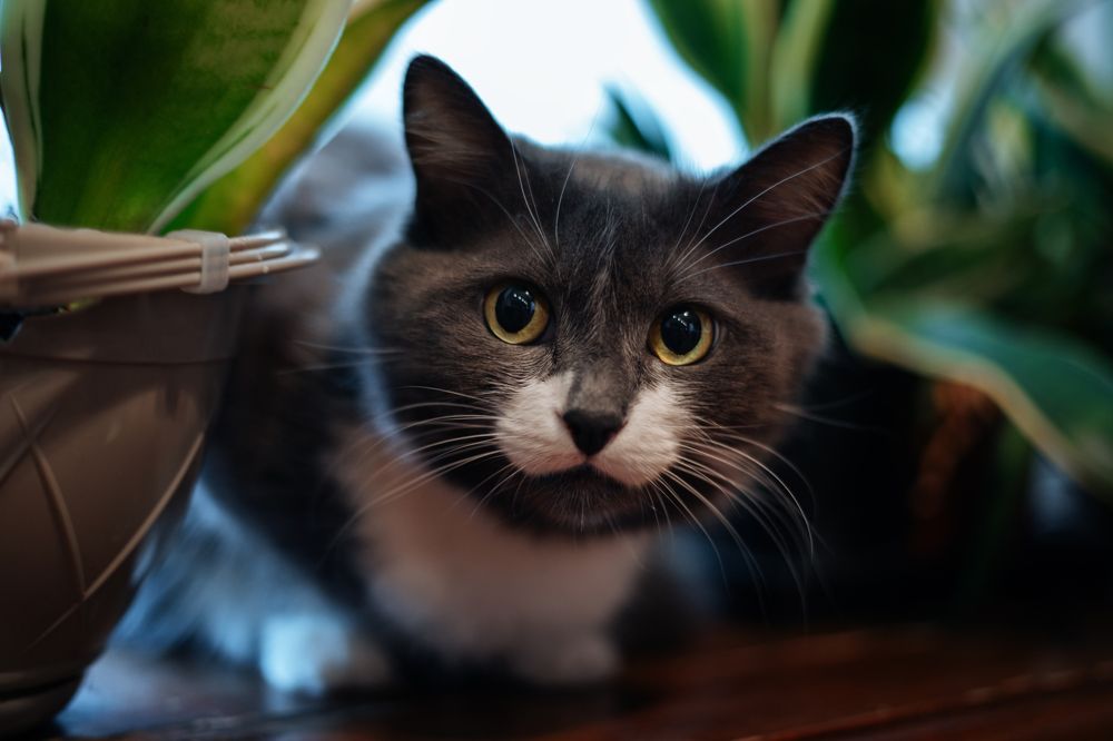 Photograph by Мария Мостипака