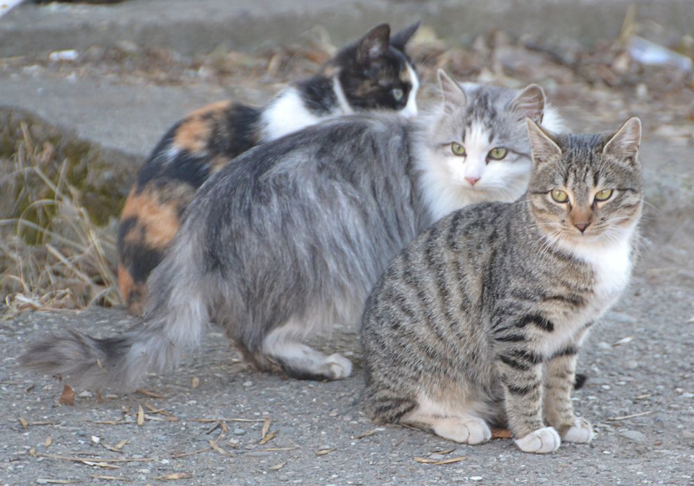 Photograph by Савчук Сергей