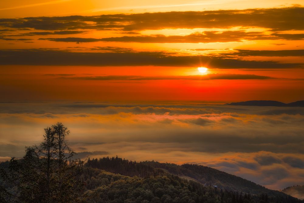 Photograph by Budyta Dariusz