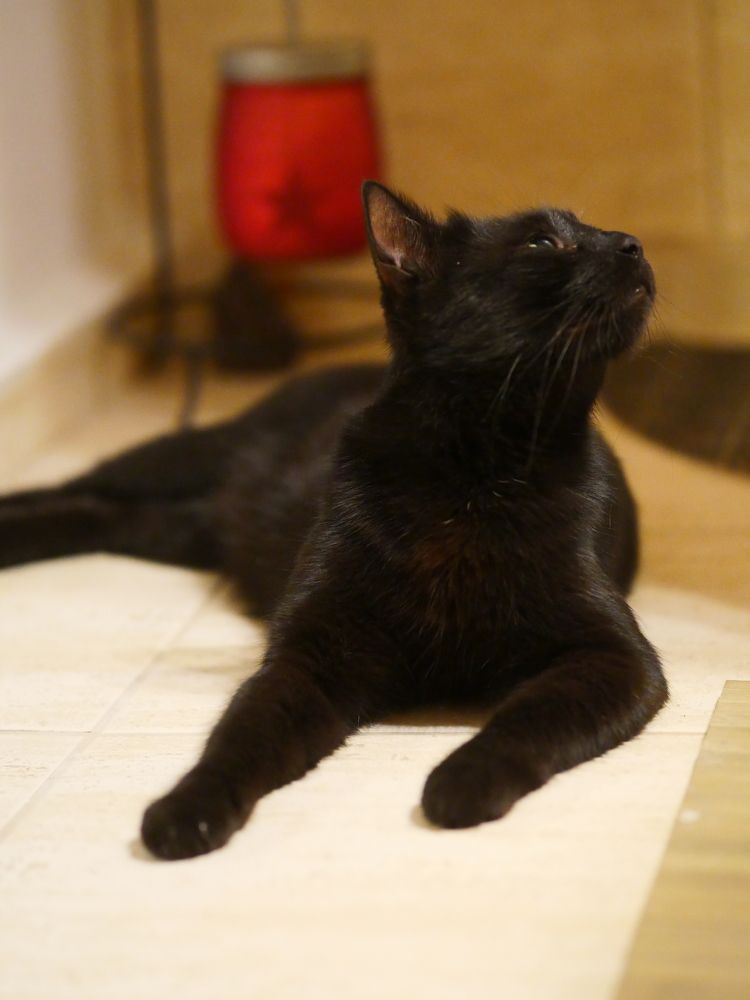 Photograph by Angelo Sab