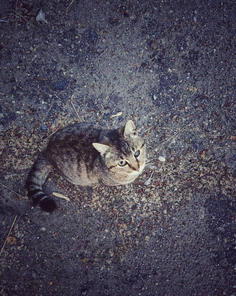 Фотография автора Андрей