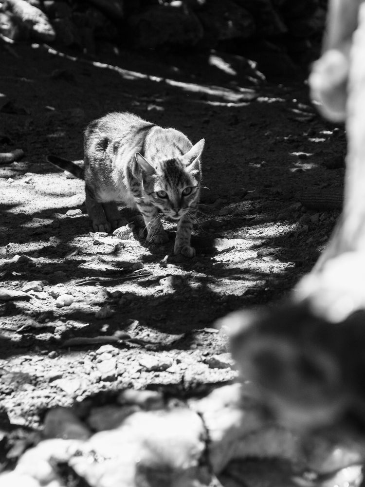 Photograph by حمید سلیمانی