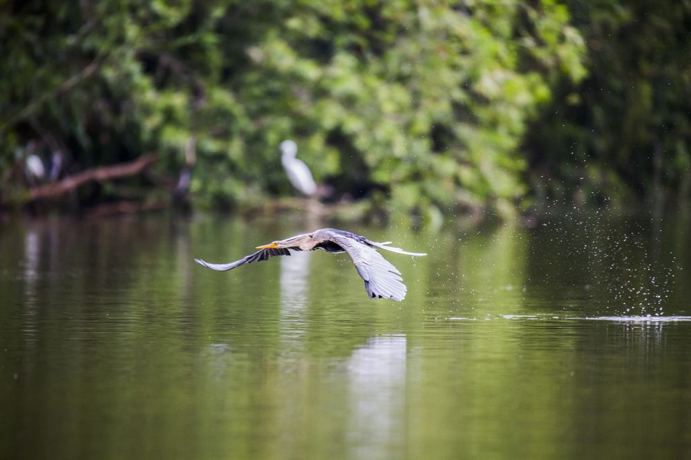 Photograph by HOANG MINH
