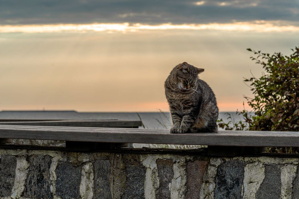 Photograph by Елена Аверина