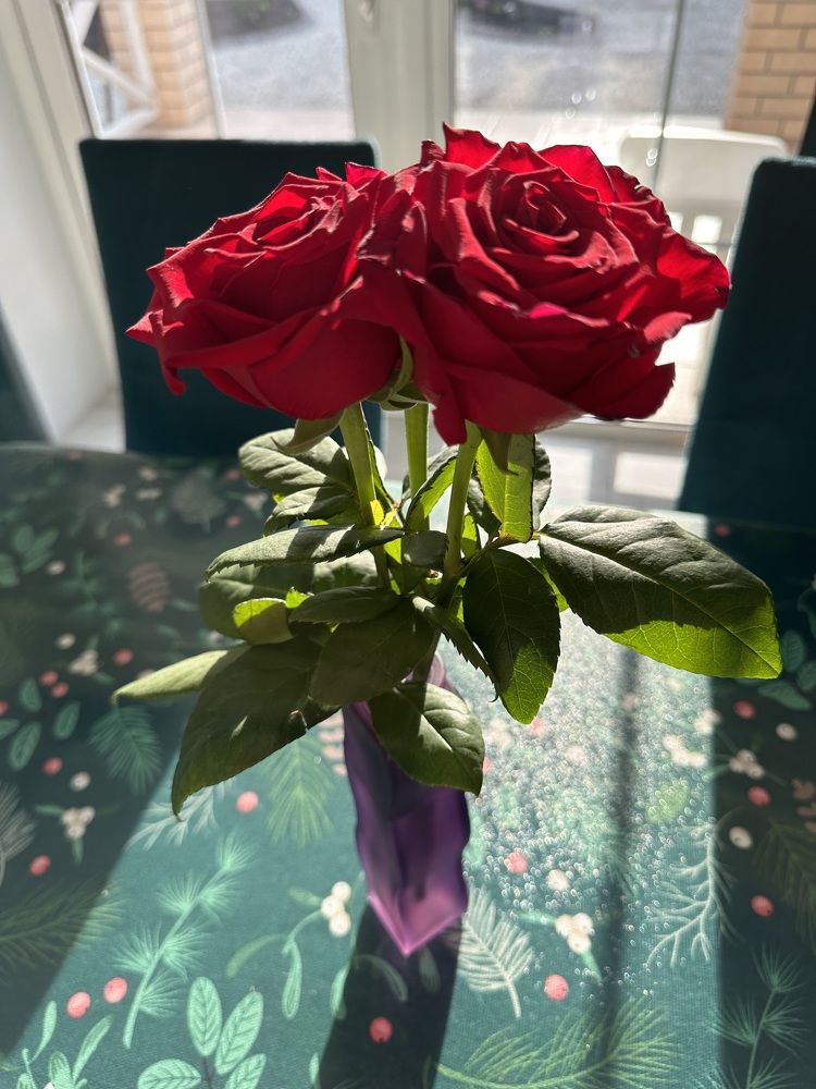 Photograph by Наталья Берон