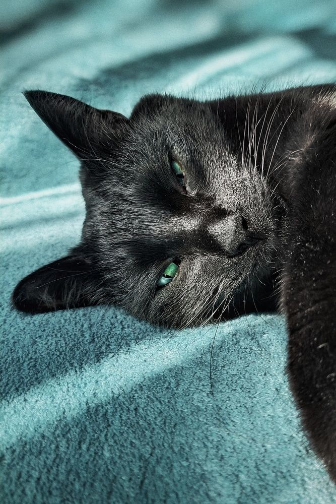 Photograph by Неро Миллена