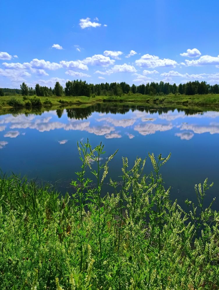 Photograph by Екатерина