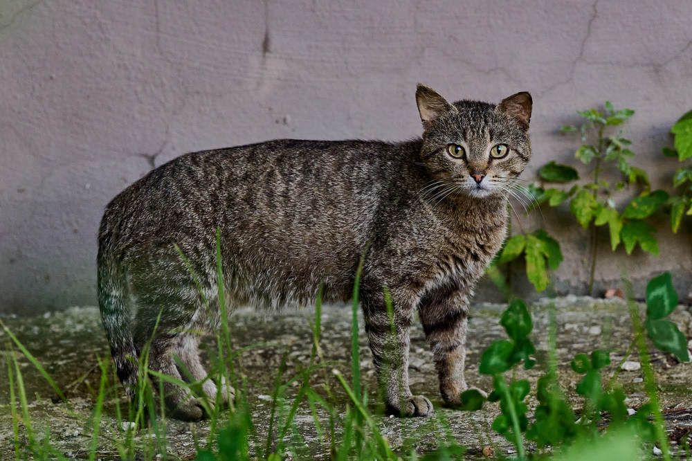 Photograph by Дмитрий Солодухин