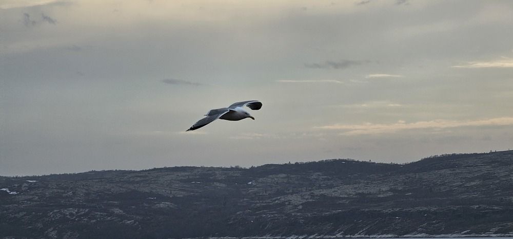 Photograph by Константин Токарев