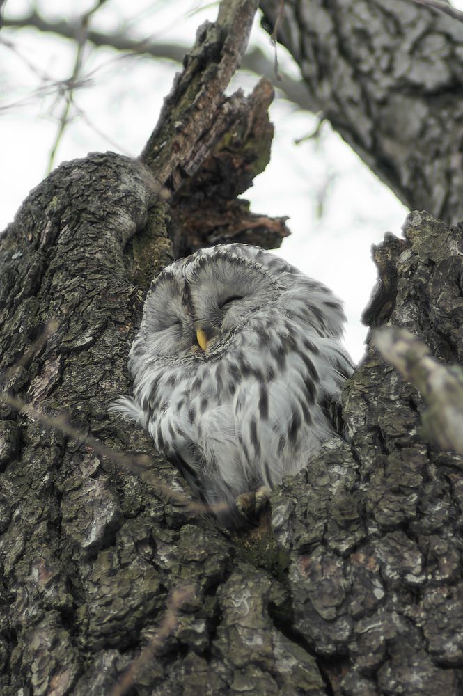 Photograph by Карина Заводчикова