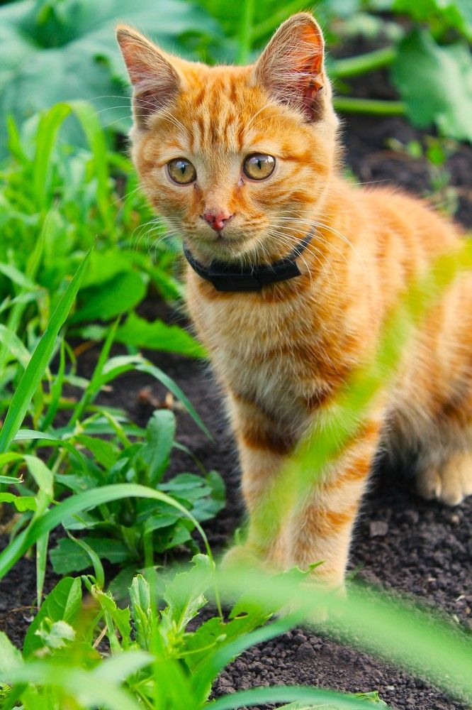 Photograph by Евгения Сараева