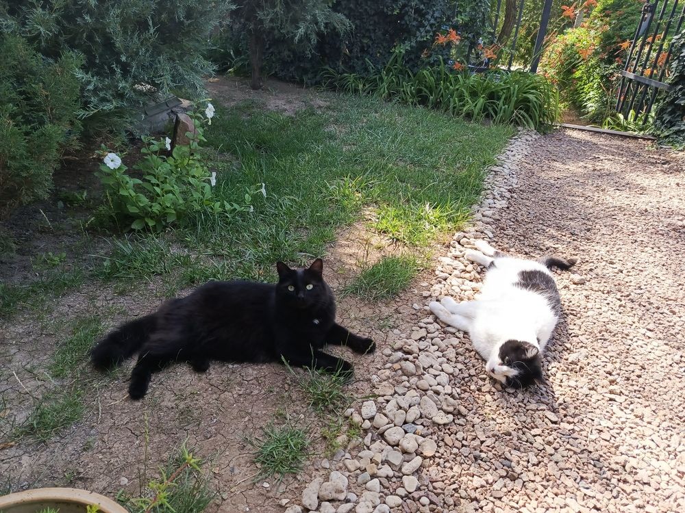 Photograph by Татьяна Пальчикова