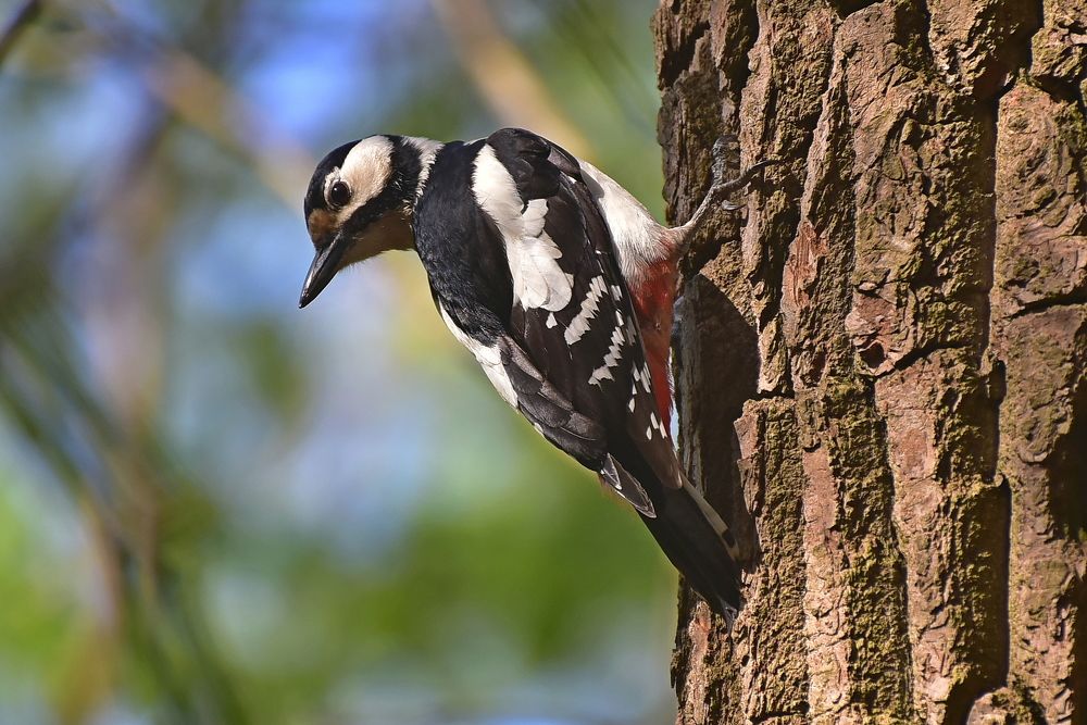 Photograph by Игорь Корнейчук