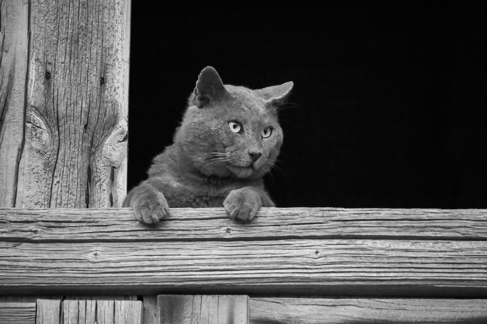 Photograph by Vania Tonova