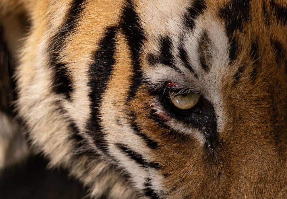 Photograph by Hrishikesh Sabnis