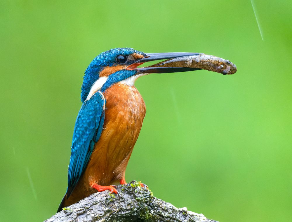 Photograph by Hrishikesh Sabnis