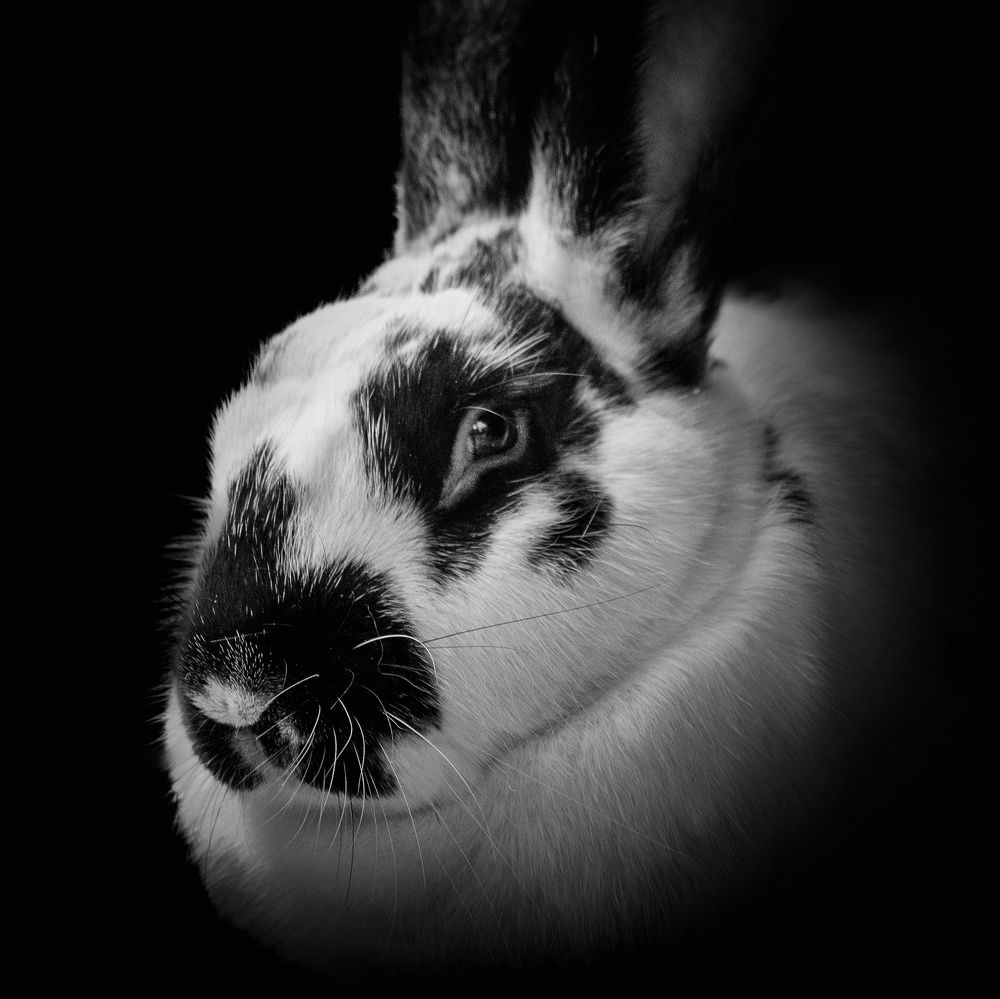 Фотография автора Голубцов Вячеслав