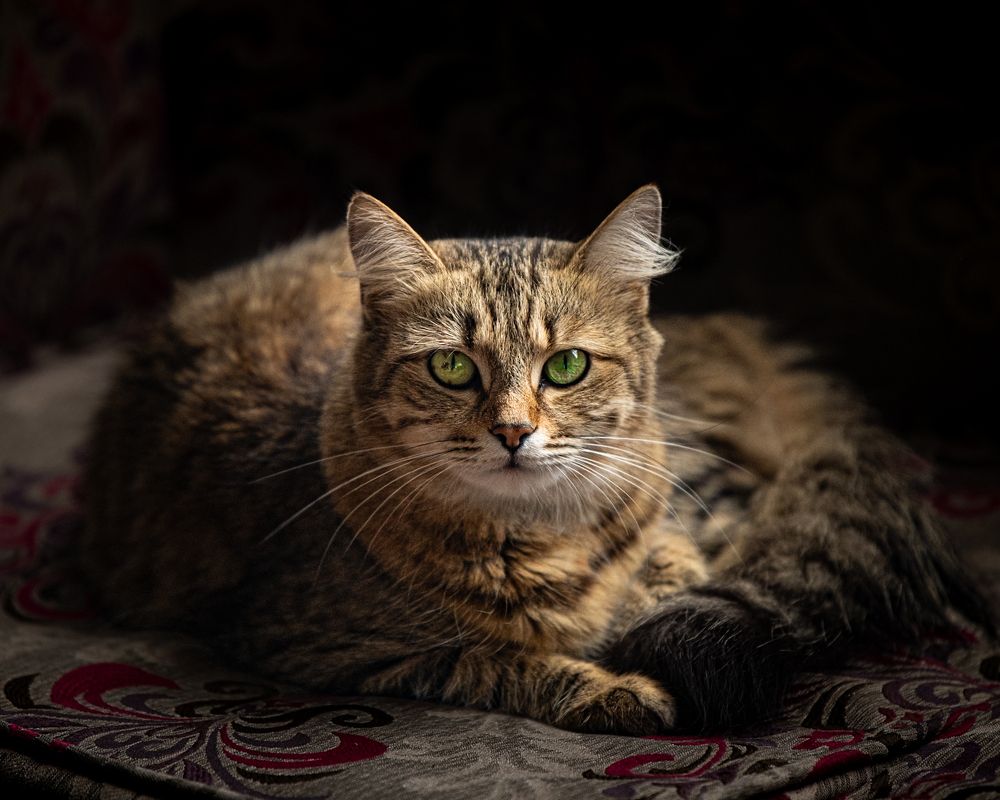 Photograph by Abner Moses Yasir Hussain