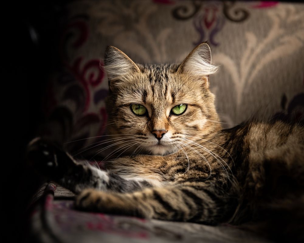 Photograph by Abner Moses Yasir Hussain