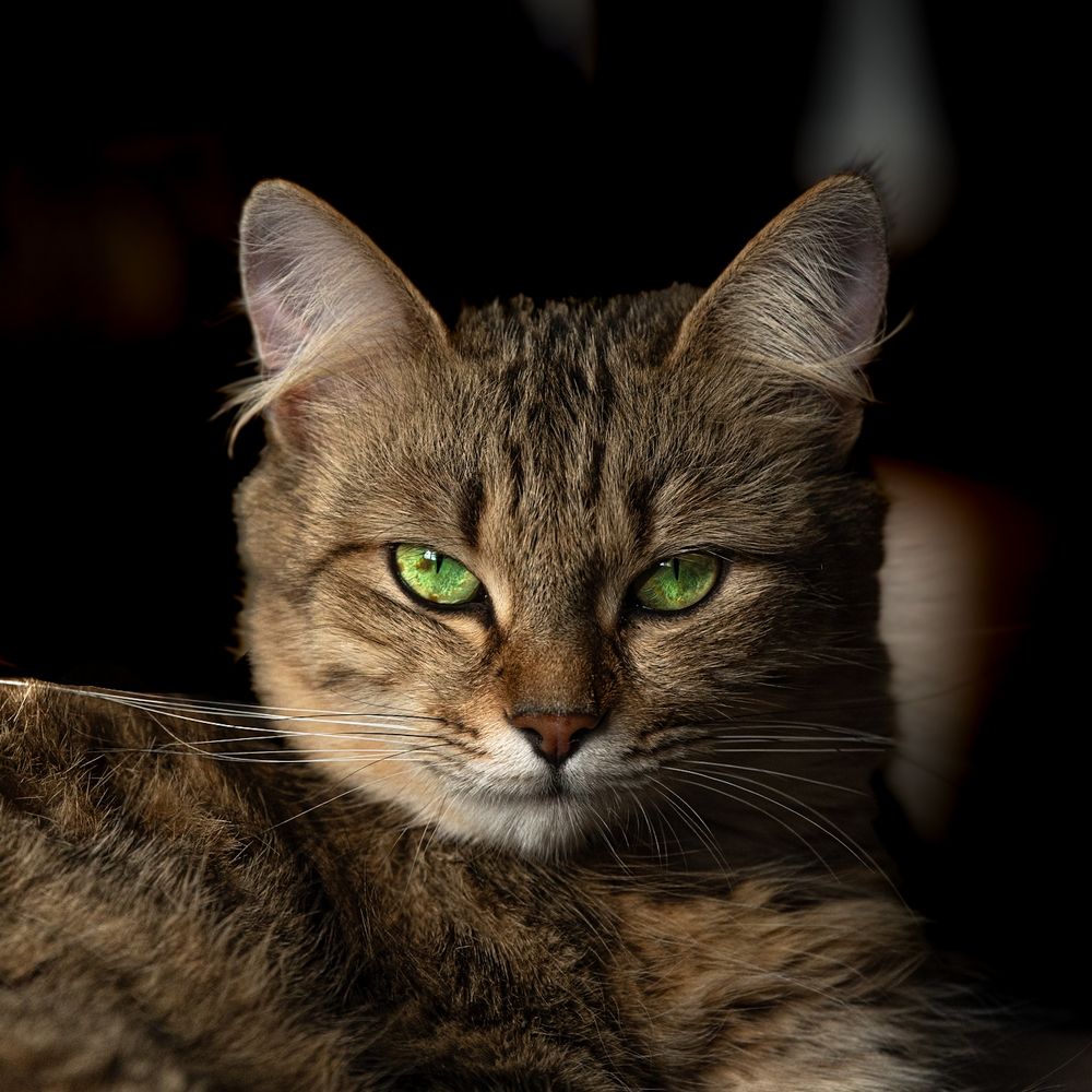 Photograph by Abner Moses Yasir Hussain