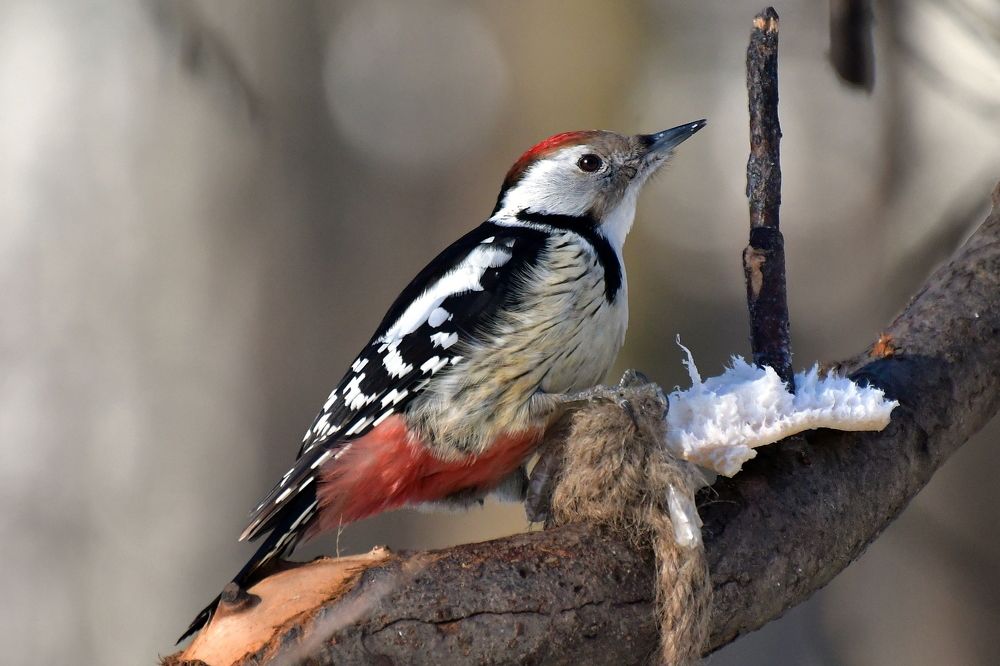 Photograph by Игорь Корнейчук