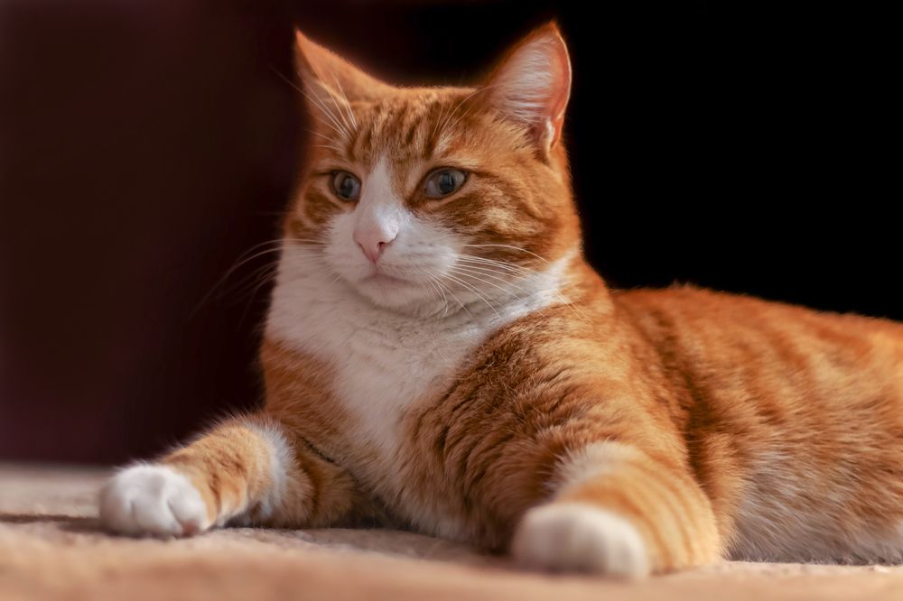 Photograph by Елена Фаворская