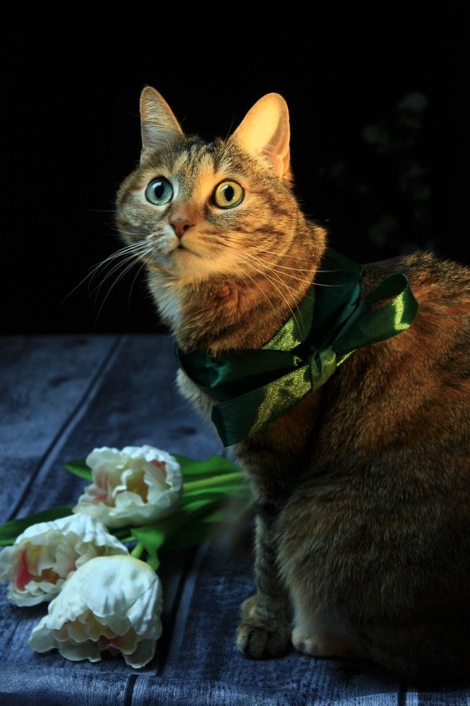 Photograph by Кира Иванова