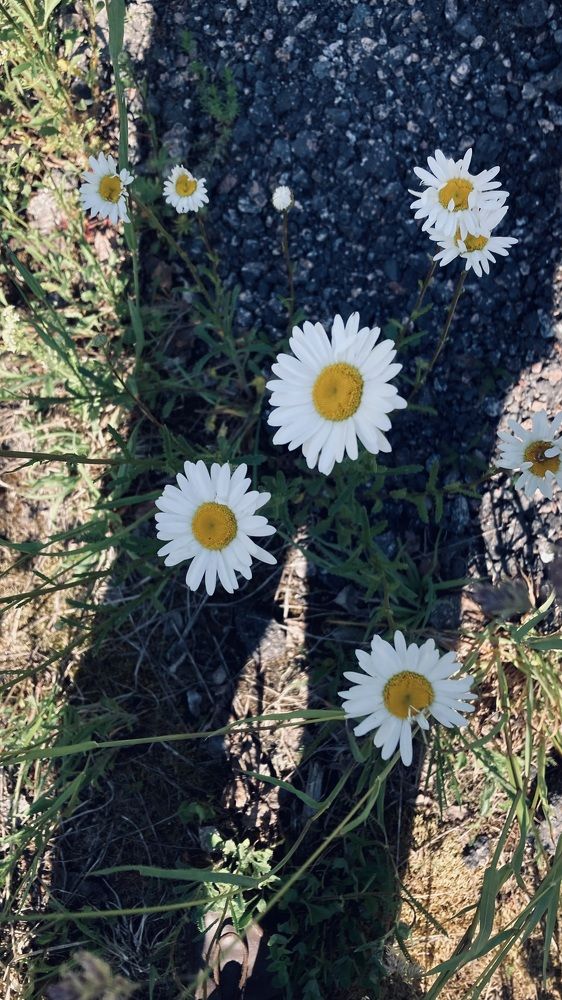 Photograph by Аркадий Каллистов