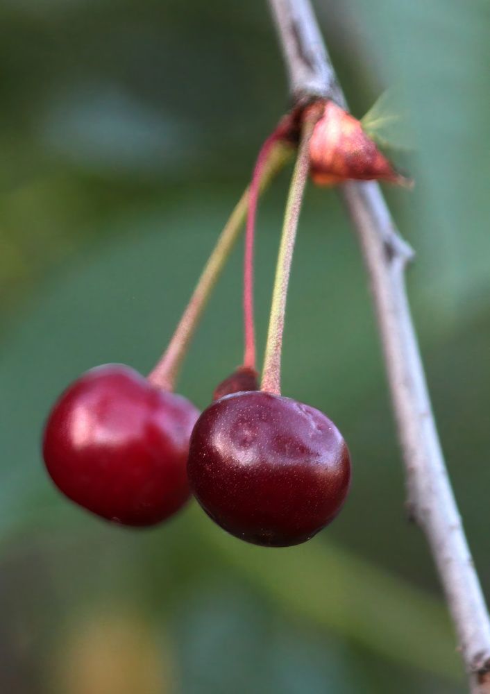 Photograph by Глеб Кузьминых