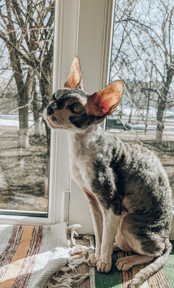 Photograph by Ирина Лузянина