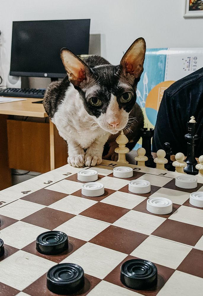 Photograph by Ирина Лузянина