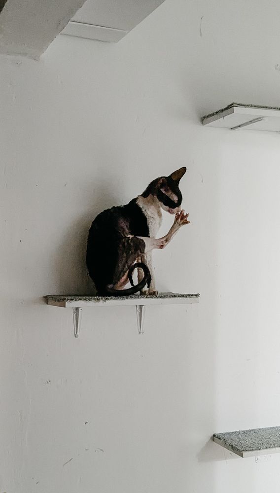 Photograph by Ирина Лузянина