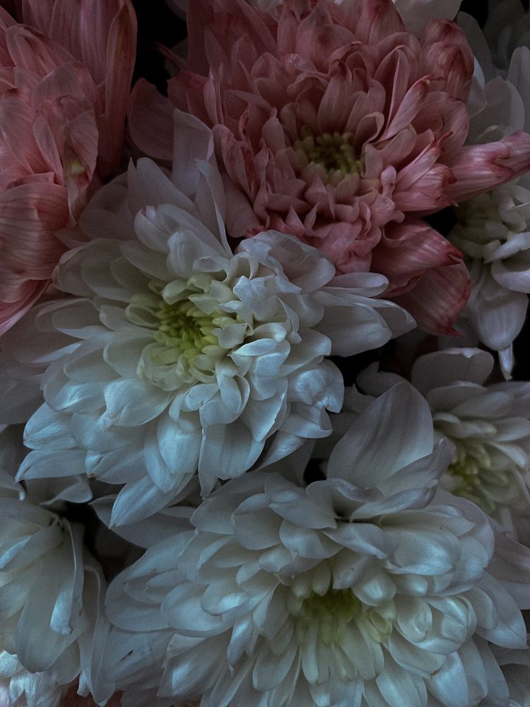 Photograph by Анастасия Добрынина