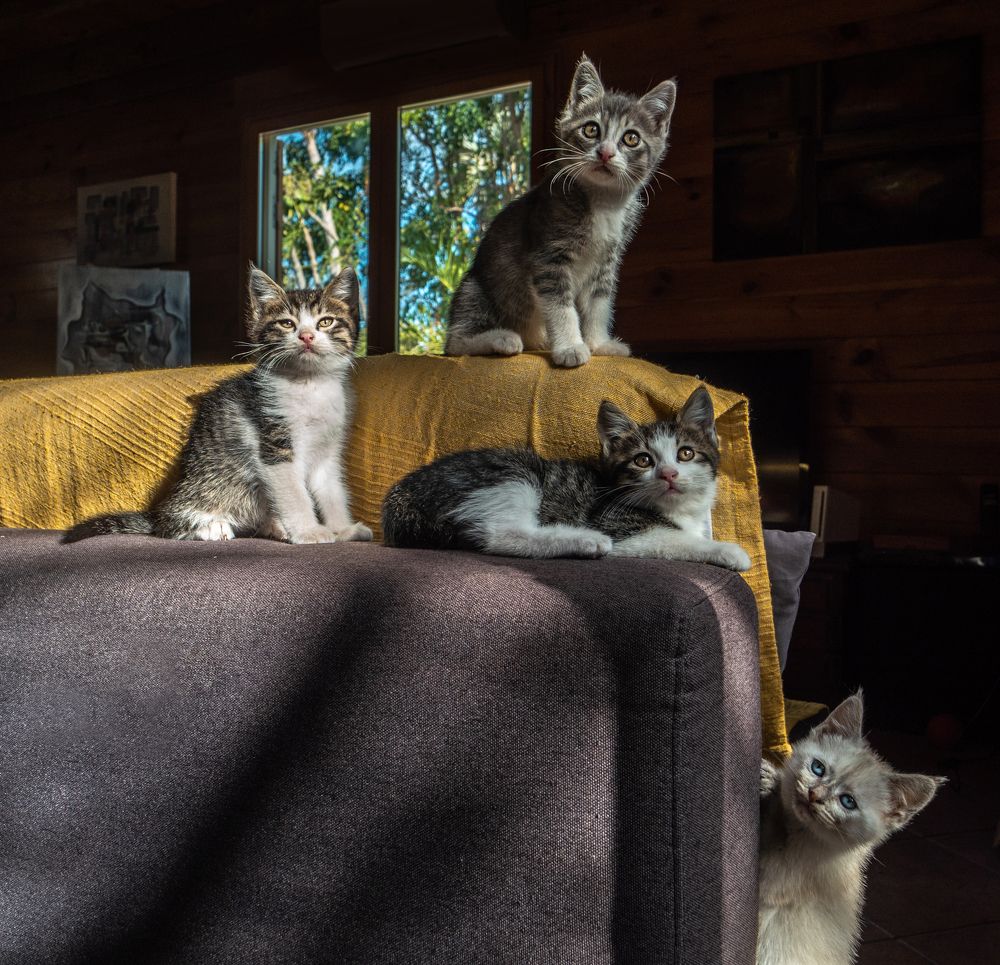 Photograph by Svetlana Pascoal