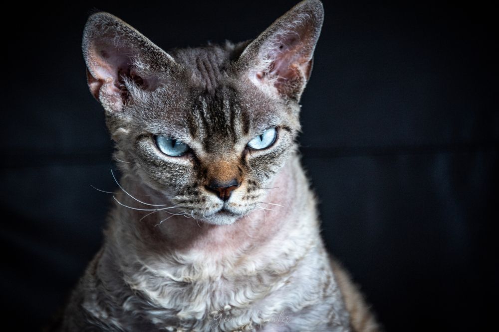 Photograph by Алекс Гейнер